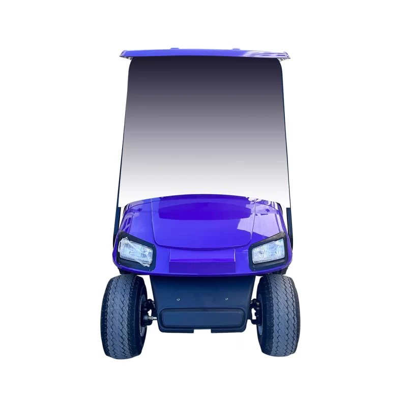 2 passenger golf cart