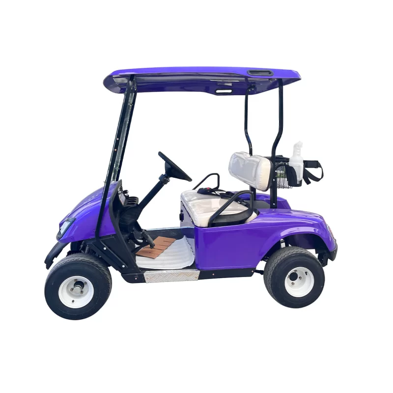 2 seats golf cart