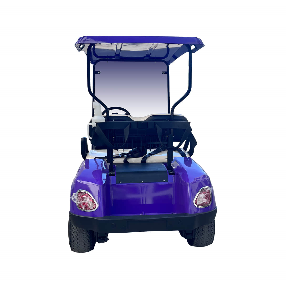 2 Seats Electric Golf Cart 18 2 seats golf cart