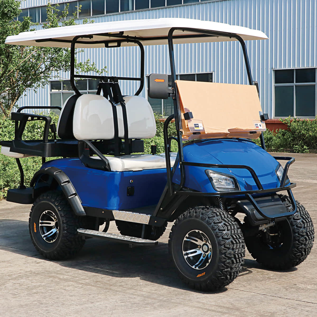 2+2 Seater Electric Golf Carts 19 4 seats golf cart