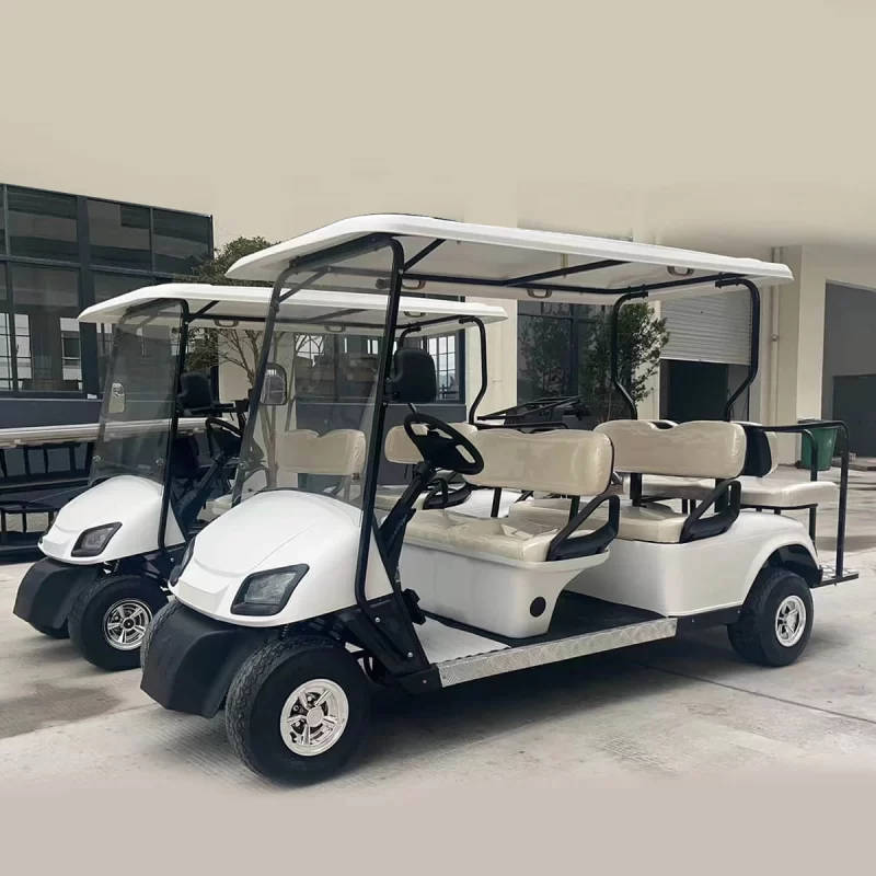 4+2 passenger golf cart
