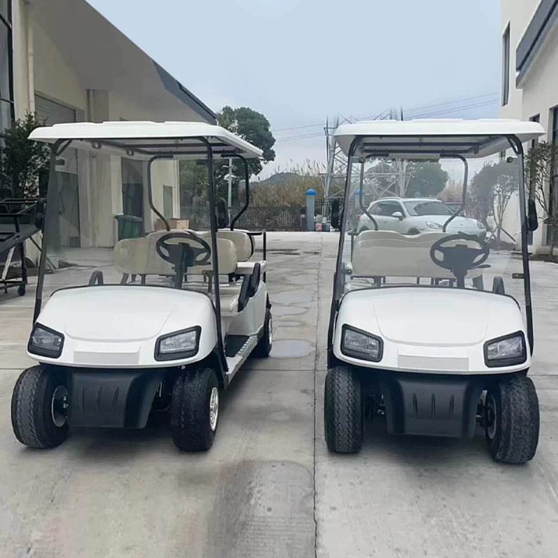 6 seater golf cart