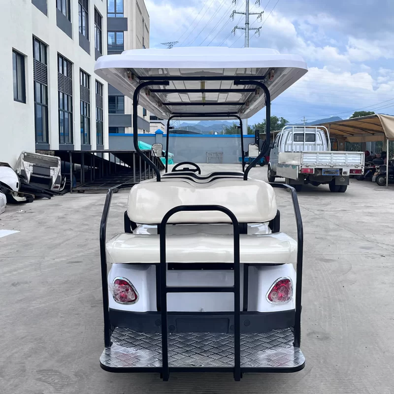 6+2 seats golf cart