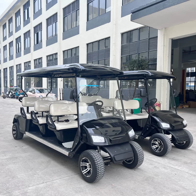 6 passenger golf buggy