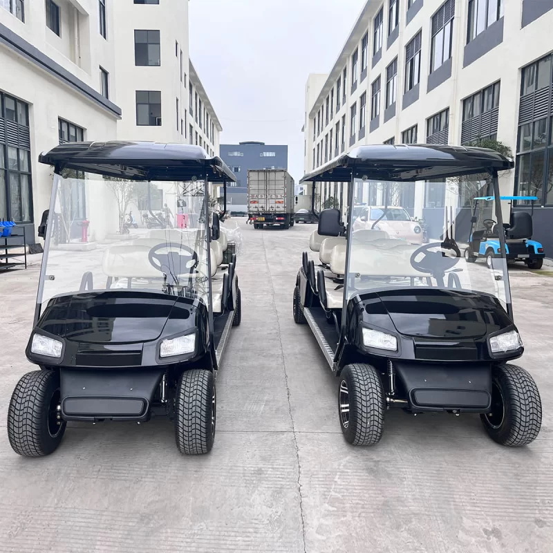6 seater golf cart