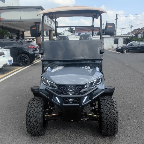 New Popularity 2 Seater Electric Golf Cart 17 2 seater lifted golf cart