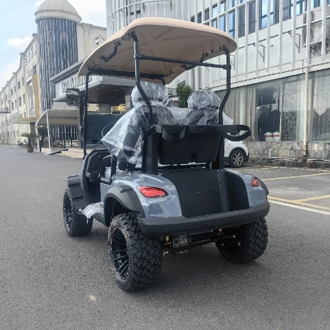New Popularity 2 Seater Electric Golf Cart 18 2 seater lifted golf cart