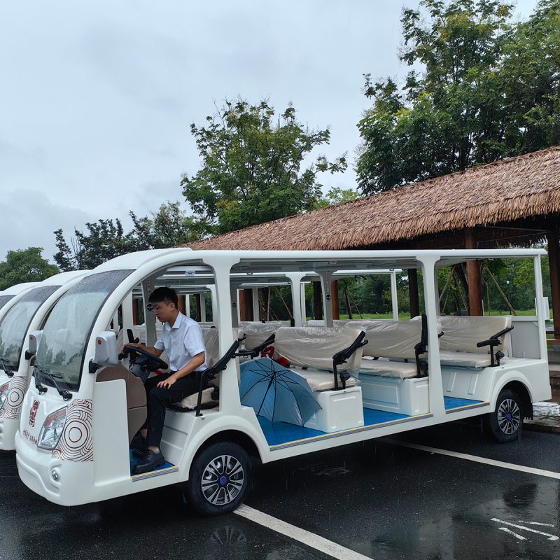 Sightseeing Car 48 11 2