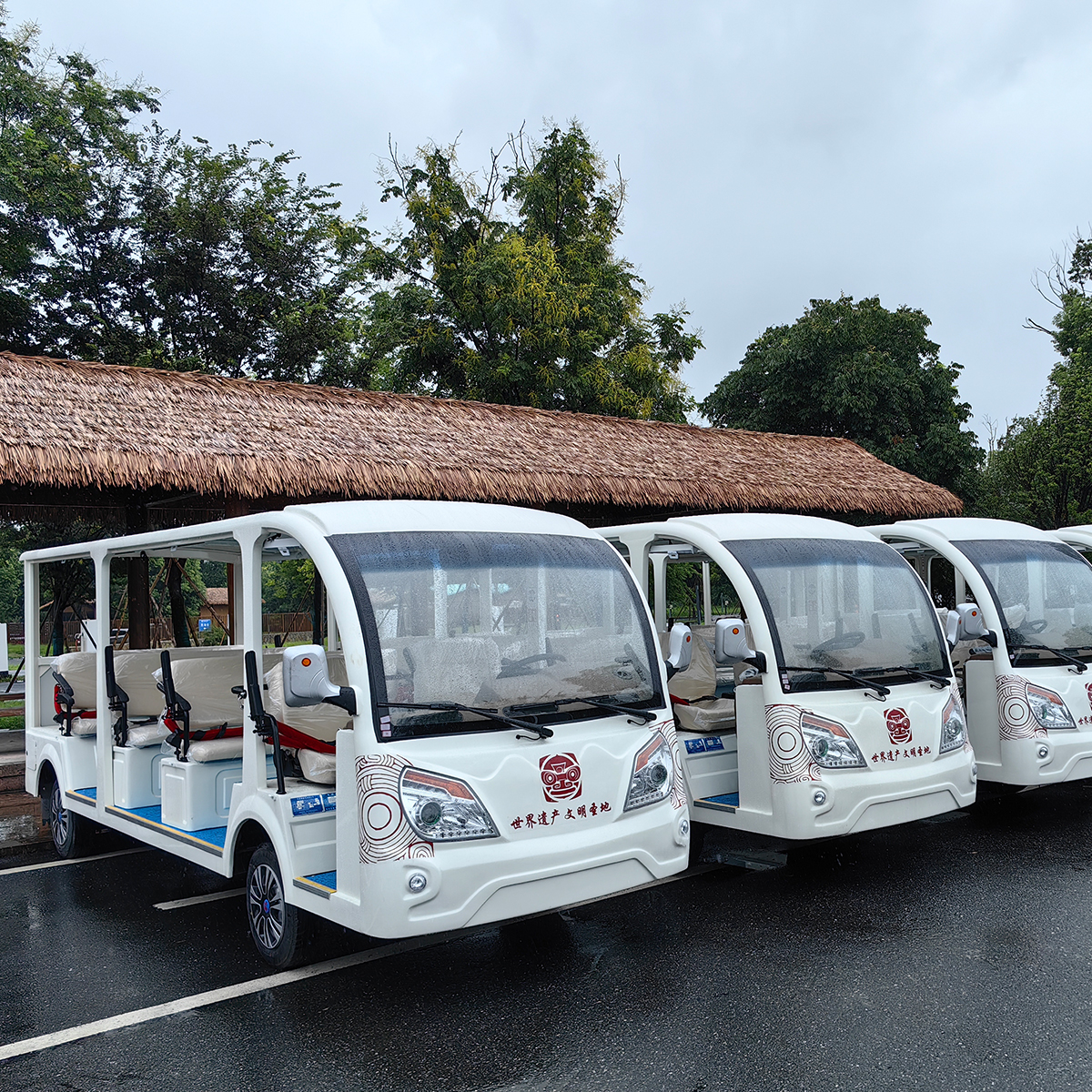 11 Seats Electric Passenger Car 16 11 Seats Electric Passenger Car - Image 3